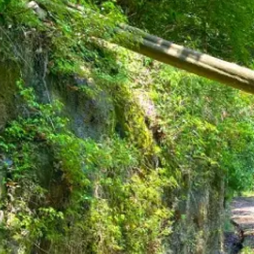 台風・災害時にはすぐに連絡を