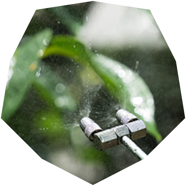 消毒・防虫対策