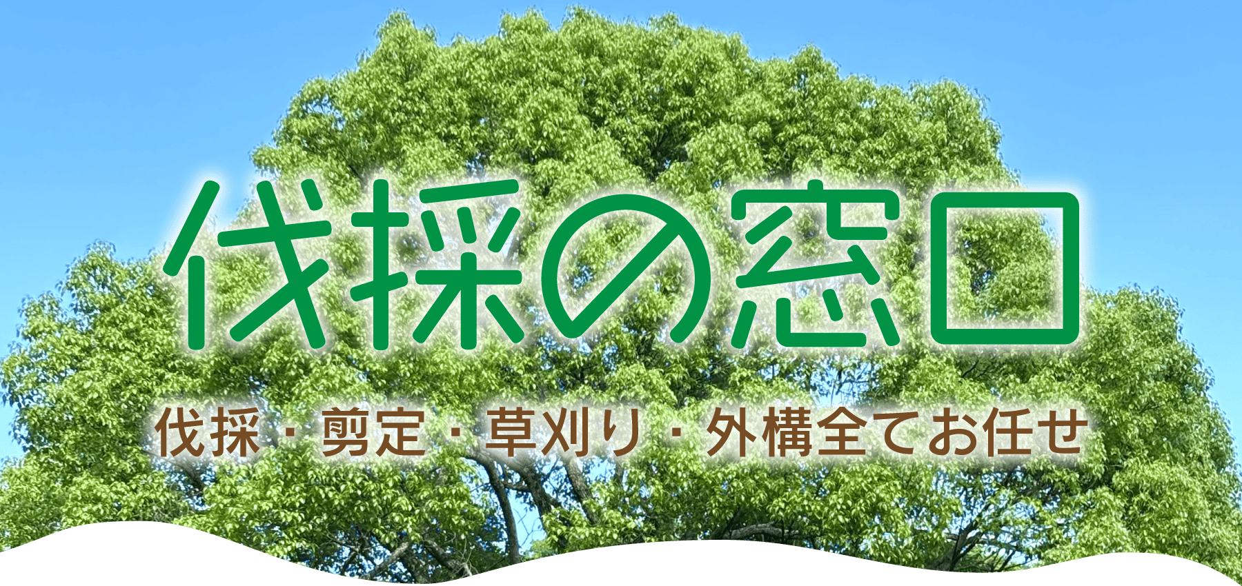 伐採の窓口 神奈川の伐採・剪定は全てお任せください