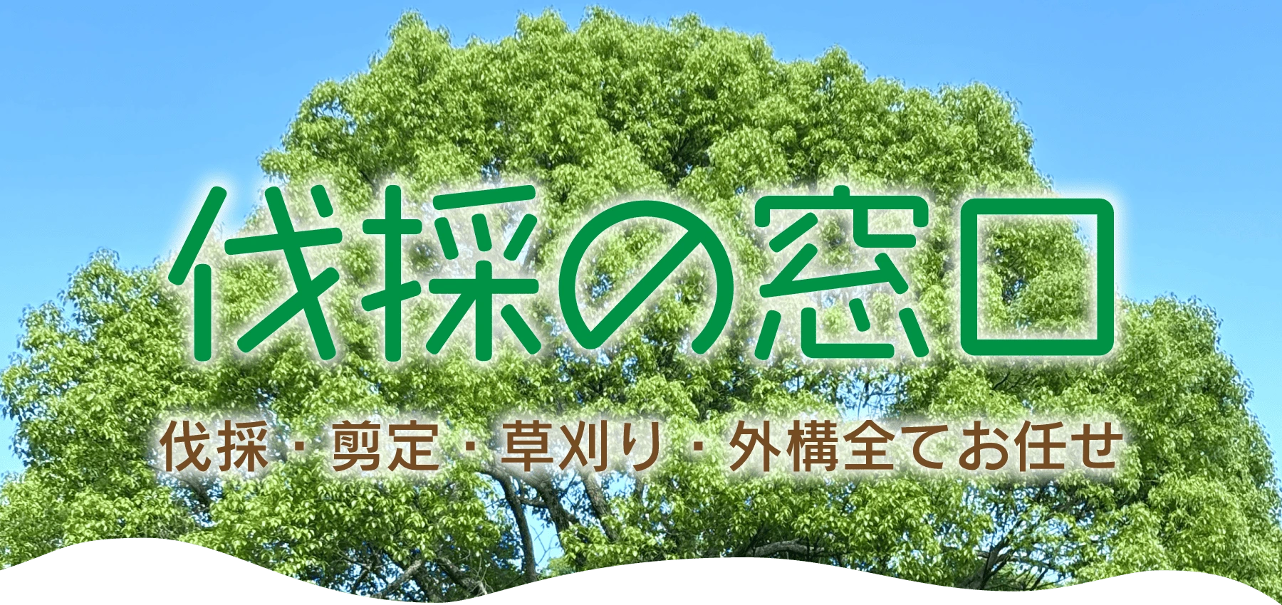 伐採の窓口 神奈川の伐採・剪定は全てお任せください