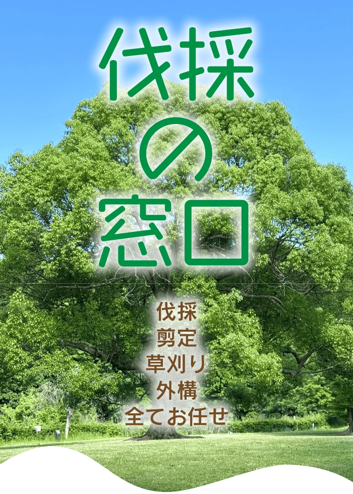 伐採の窓口 神奈川の伐採・剪定は全てお任せください